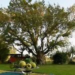 Podere Il Leccio *