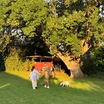 Podere Il Leccio *