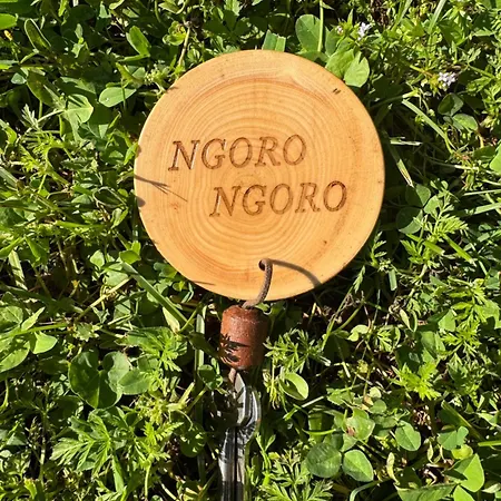 Podere Il Leccio * 卡斯蒂里昂纳·德拉佩