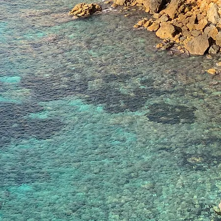 Podere Il Leccio 农家乐 卡斯蒂里昂纳·德拉佩