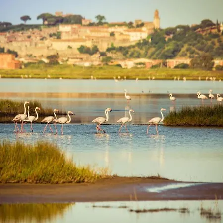 Podere Il Leccio * Castiglione della Pescaia