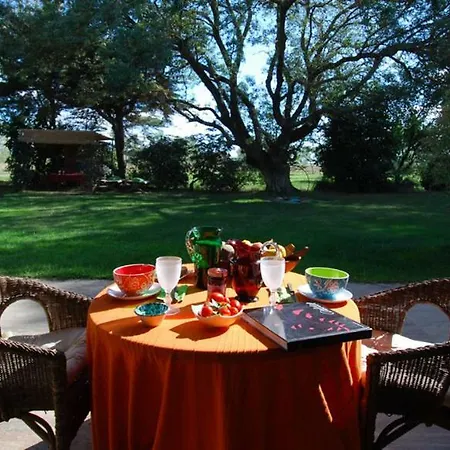 Farm stay Podere Il Leccio *